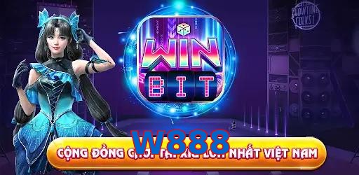 W888